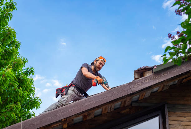 Best Roof Ventilation Installation  in Manassas, VA